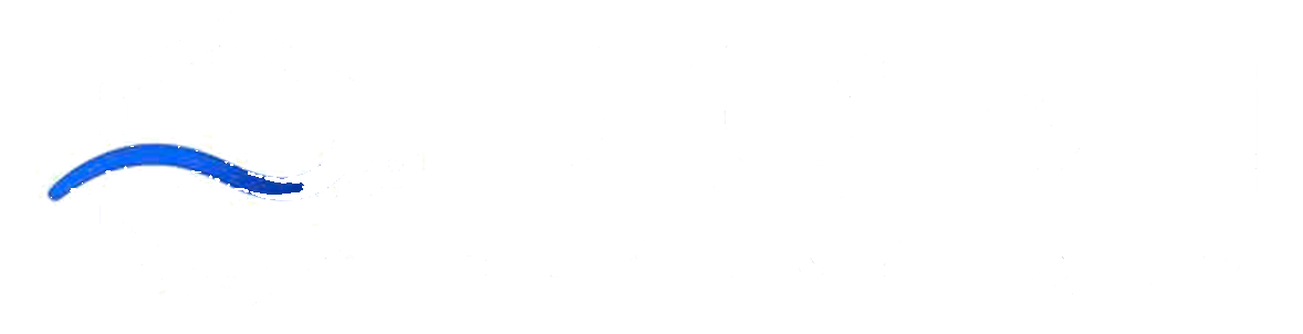 Logo DOMI Technology